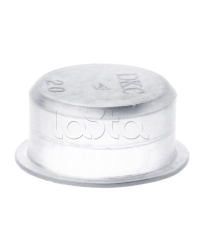 Заглушка для труб, IP40, д.25 мм DKC 50925 в Сургуте Повороты, муфты, тройники Pintop.ru