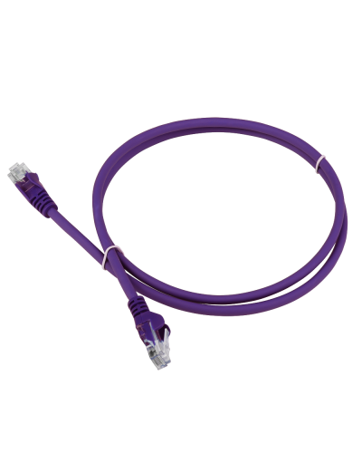 Патч-корд LANMASTER LSZH UTP кат.5e, 0.3 м, фиолетовый LANMASTER LAN-PC45/U5E-0.3-VI в Сургуте Патчкорды (медные) Pintop.ru